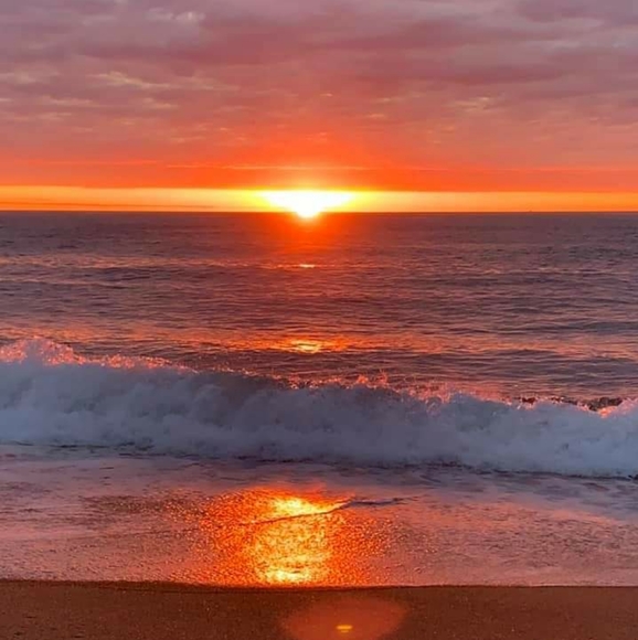 🦚 Thank You !! 🦚 - Picture 6 of 8